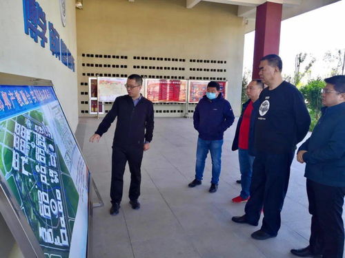四省十家企業組團到冀南新區考察，區域招商合作邁向新高度